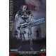 HOT TOYS - TERMINATOR GENISYS : ENDOSKELETON 1/6