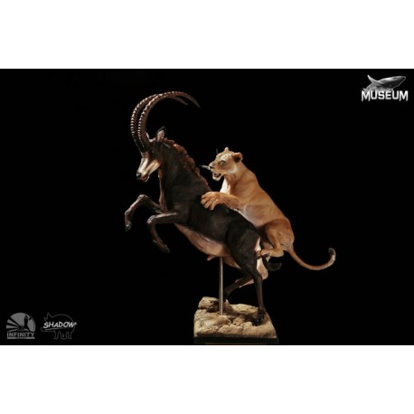 INFINITY STUDIO - MUSEUM SERIES : HUNTING LION STATUE